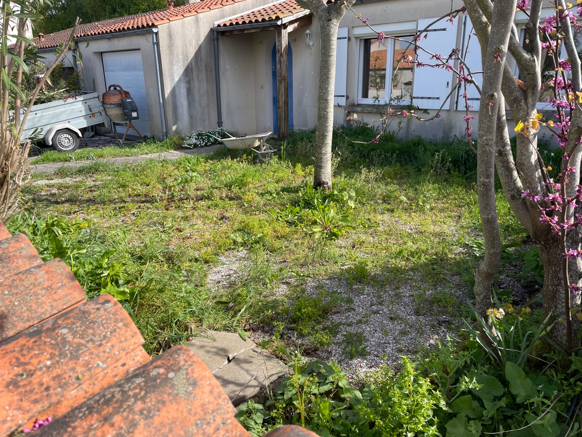 Préparation du terrain 